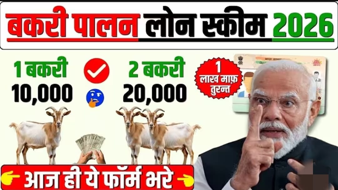 Goat Farming Business Loan in India