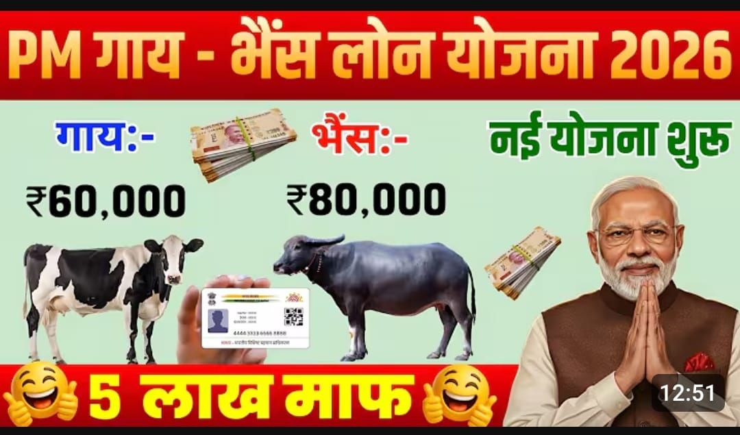 dairy-farming-loan