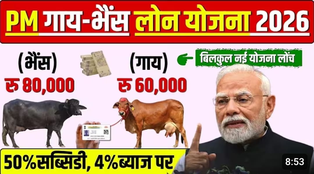 sarkari-pashupalan-loan-2026